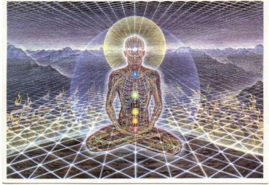 alex grey